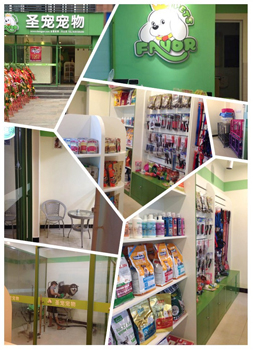 圣宠四川乐山宠物店