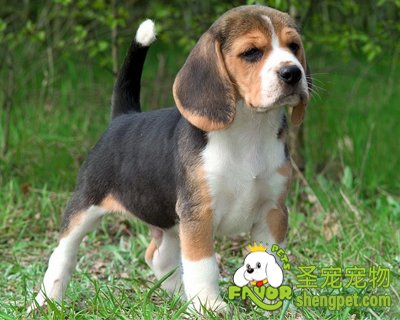 ȥ������Ƥм����������