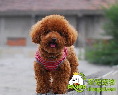 ����θ��������ȽϺ���