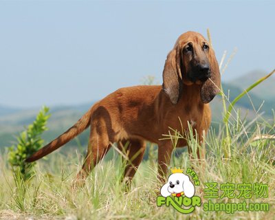 ����Ĺ�������λ���