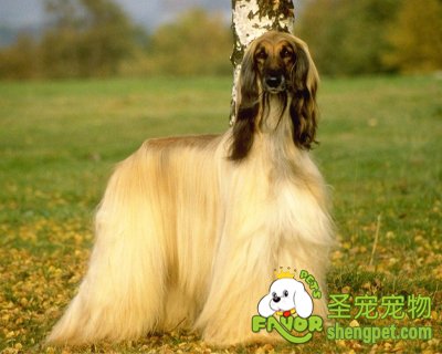 ������ë��ʱ�����ô����