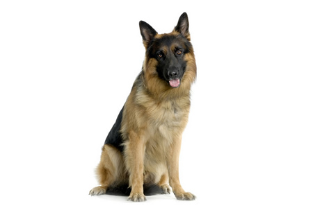 ��Щ���ǲ��ʺ�����������