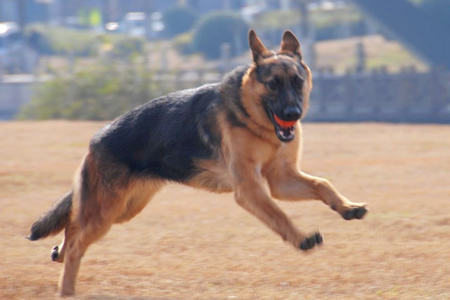 ��Щ���ǲ��ʺ�����������