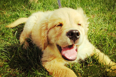 ���еĹ����пڳ�����ô��