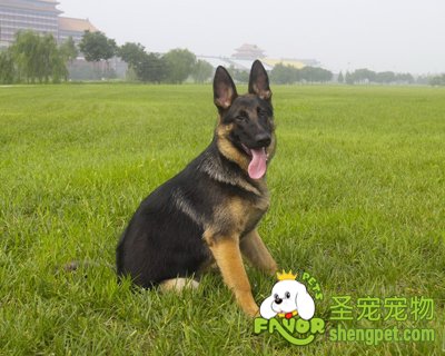 �ù����������͵ķ���