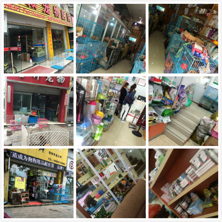 圣宠宠物诸暨暨阳大桥宠物店选址服务