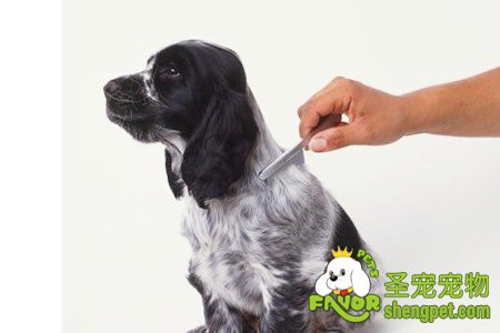 ����Ȯϴ��Ӧѡ�õķ���