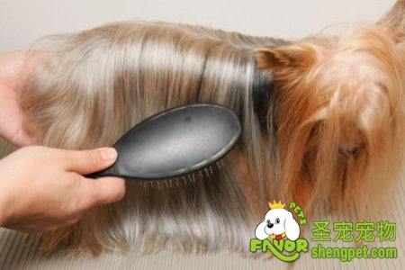 ����Ȯϴ��Ӧѡ�õķ���