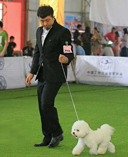 姜涛圣宠宠物美容学校A级讲师