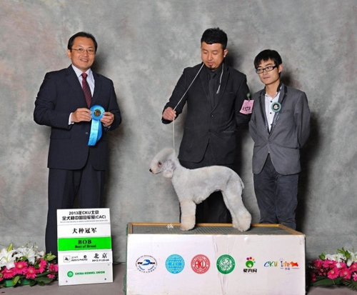 姜涛老师参加比赛现场