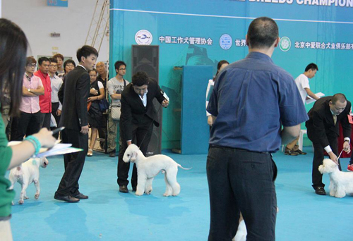 姜涛老师参加比赛现场