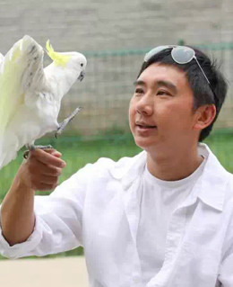 何军调良圣宠训犬学校