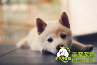 ������Ҫ�����Ĳ�λ�ͻ�������