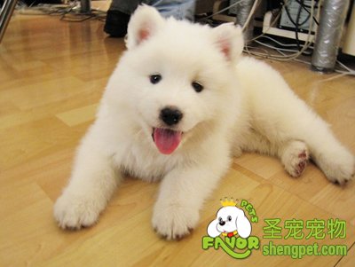 ������ֺ�׸�����޼�