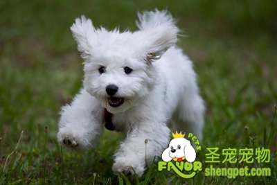 ����Ȯ��۵�������������