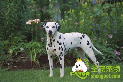 Ϊʲô���������Է�ȴԽ��Խ��