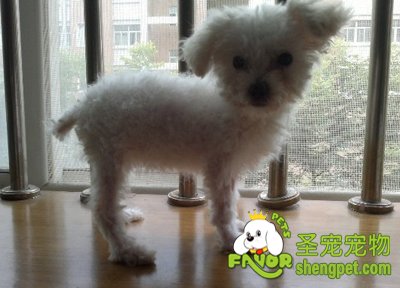 ������ëʱ��������ô��