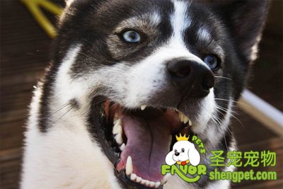 ������ϴ��������ע������