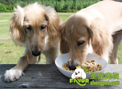 �����е�ȱ��ĶԱ�