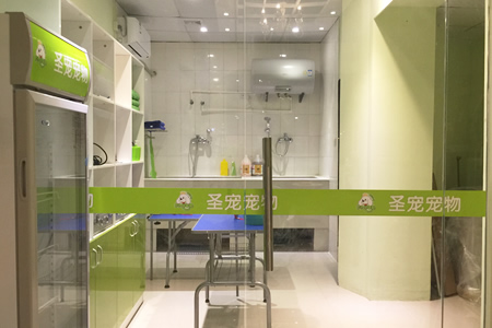 圣宠广州南沙凤凰大道连锁店