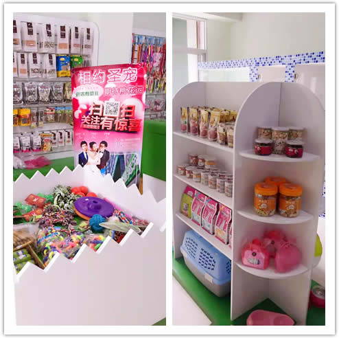 圣宠宠物台州景元西苑店开业优惠活动