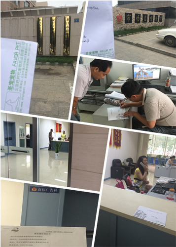 ʥӪЯгܲųɹδȨŵ