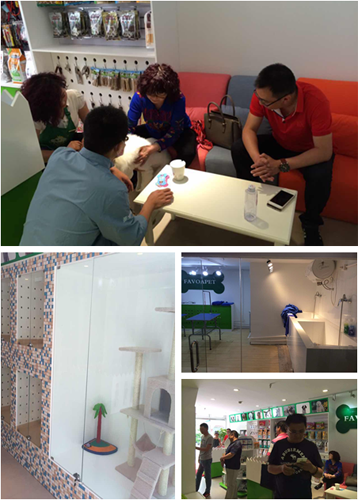 圣宠宠物呼和浩特雅阁星城店店图5