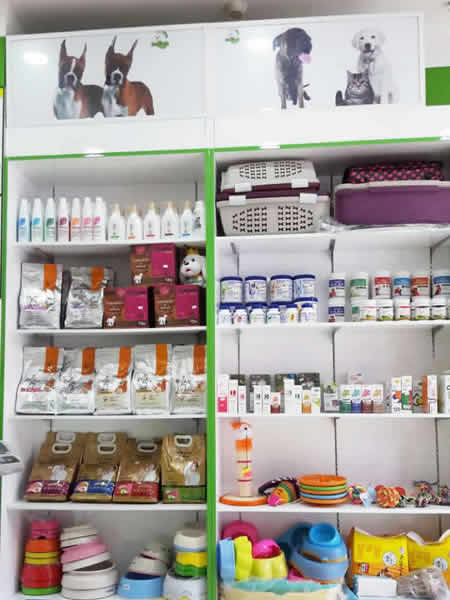 圣宠宠物广州可逸南街连锁店