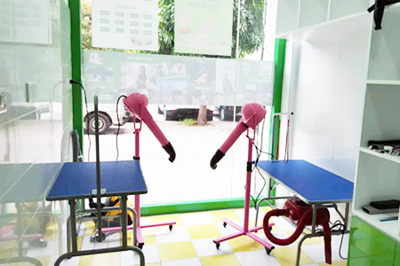 圣宠宠物广州可逸南街连锁店