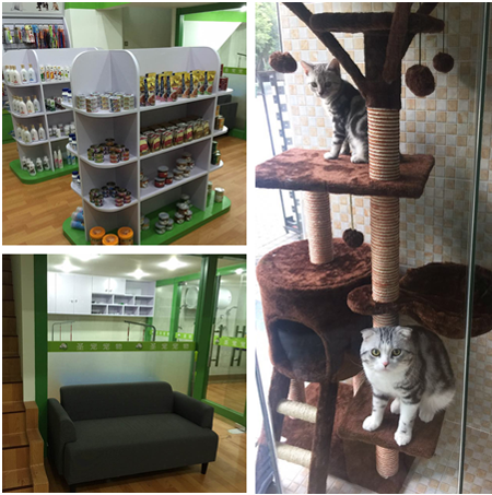 圣宠宠物重庆富悦海沁店开业现场1