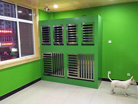 圣宠宠物店盛大开业图11