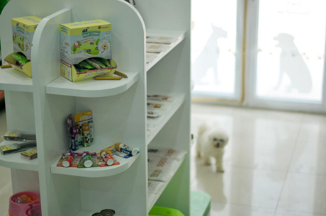 圣宠宠物店盛大开业图12