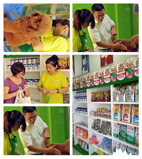 圣宠宠物店盛大开业图13