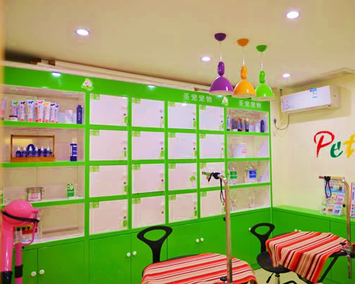 圣宠天津河西区宠物店宠物美容区