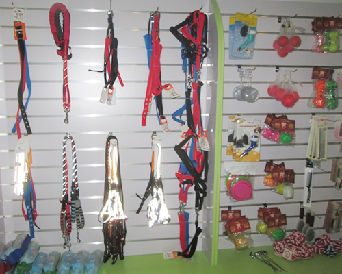 圣宠蚌埠固镇宠物店宠物产品展示区