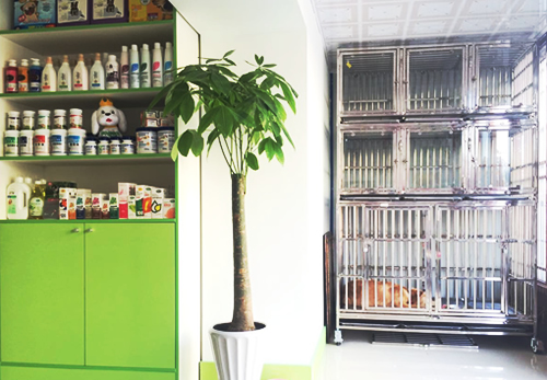 圣宠呼伦贝尔阳光嘉园宠物连锁店