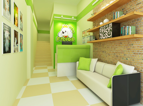 圣宠宠物秦皇岛迎宾路店装修效果图