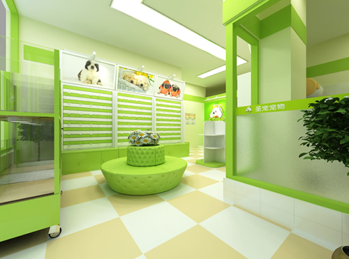 圣宠宠物秦皇岛迎宾路店装修效果图