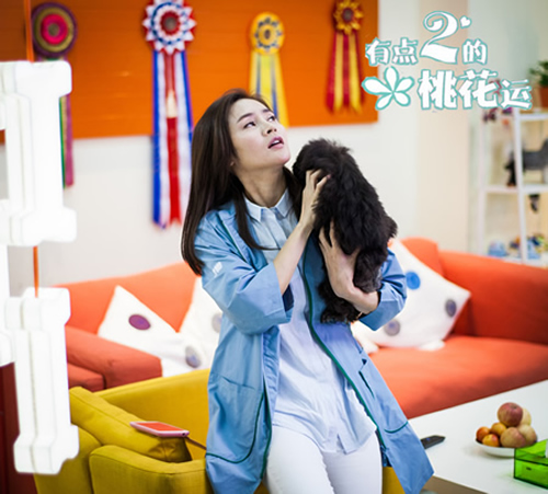 唐山的孙女士成功签约圣宠宠物连锁品牌