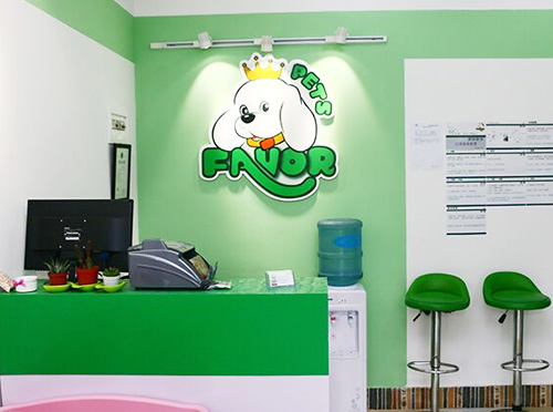 圣宠上海巨峰路宠物店柜台休息区