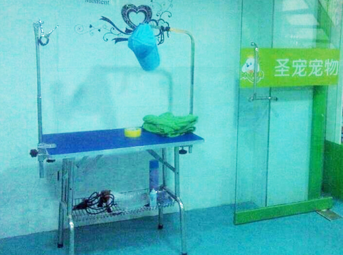 圣宠长治城区凯旋广场宠物店宠物美容区