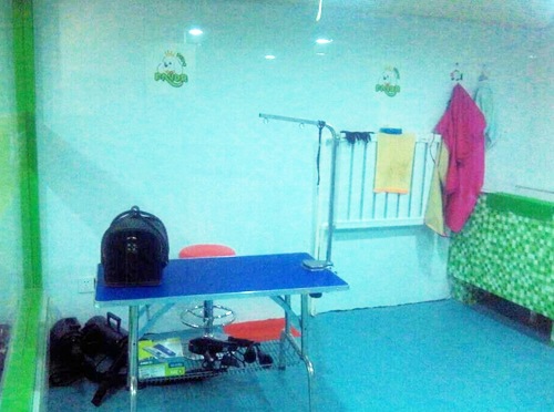 圣宠长治城区凯旋广场宠物店宠物美容区