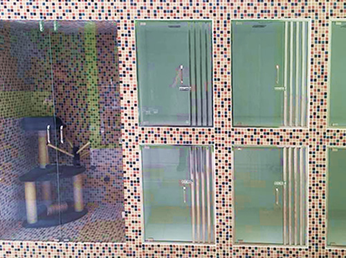 圣宠天津格调春天宠物店寄养区