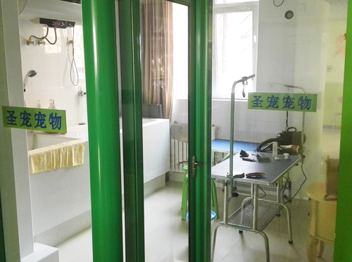 圣宠北京大兴旧宫新苑宠物店美容区