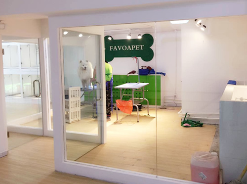 圣宠呼和浩特雅阁星城宠物店宠物美容区