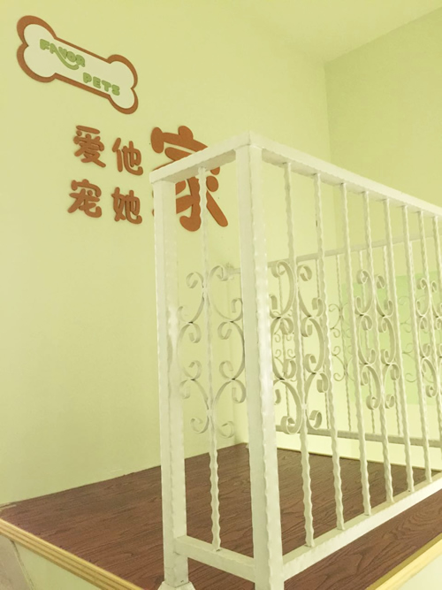 圣宠常州御景湾花园宠物店寄养活动区