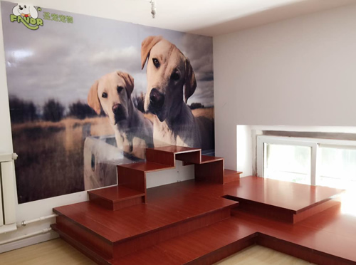 开宠物店详细的流程和步骤