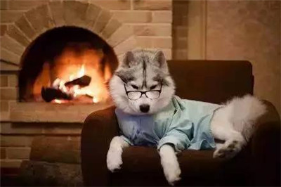 ӰʦΪ֮󣬼ĹѾ滵ˣ