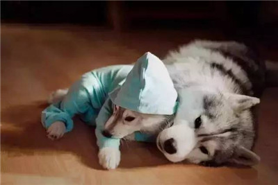 ӰʦΪ֮󣬼ĹѾ滵ˣ