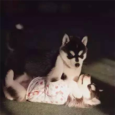 ӰʦΪ֮󣬼ĹѾ滵ˣ